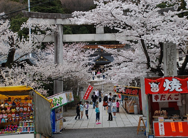 信夫山公園の桜 花見山特設サイト